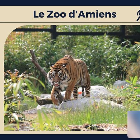 Le Carre D'Or - Appartement Confort - Jardin Prive Amiens Luaran gambar